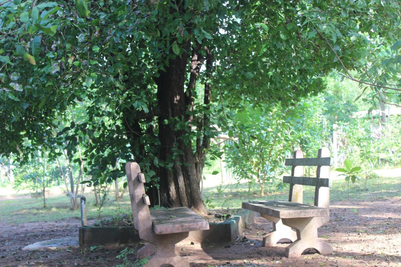 Wilpattu Holiday Home Nochchiyagama Экстерьер фото