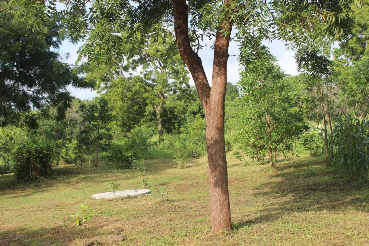 Wilpattu Holiday Home Nochchiyagama Экстерьер фото